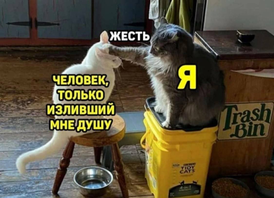 IMG_2111.jpeg