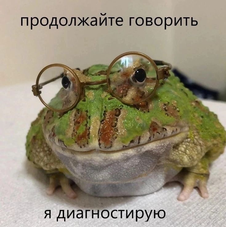 IMG_2111.jpeg