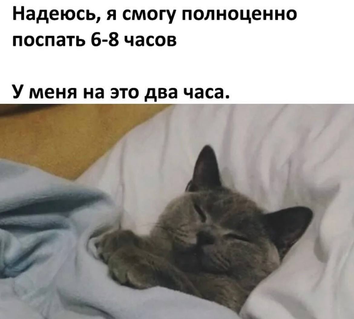 IMG_2122.jpeg