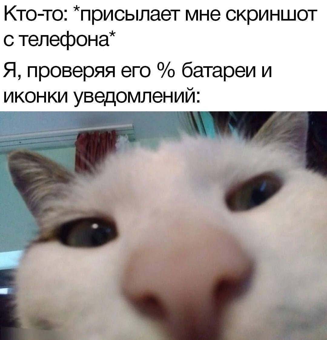 IMG_2127.jpeg