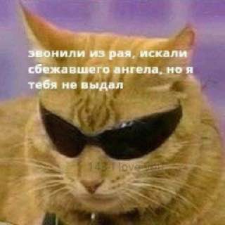IMG_2150.jpeg