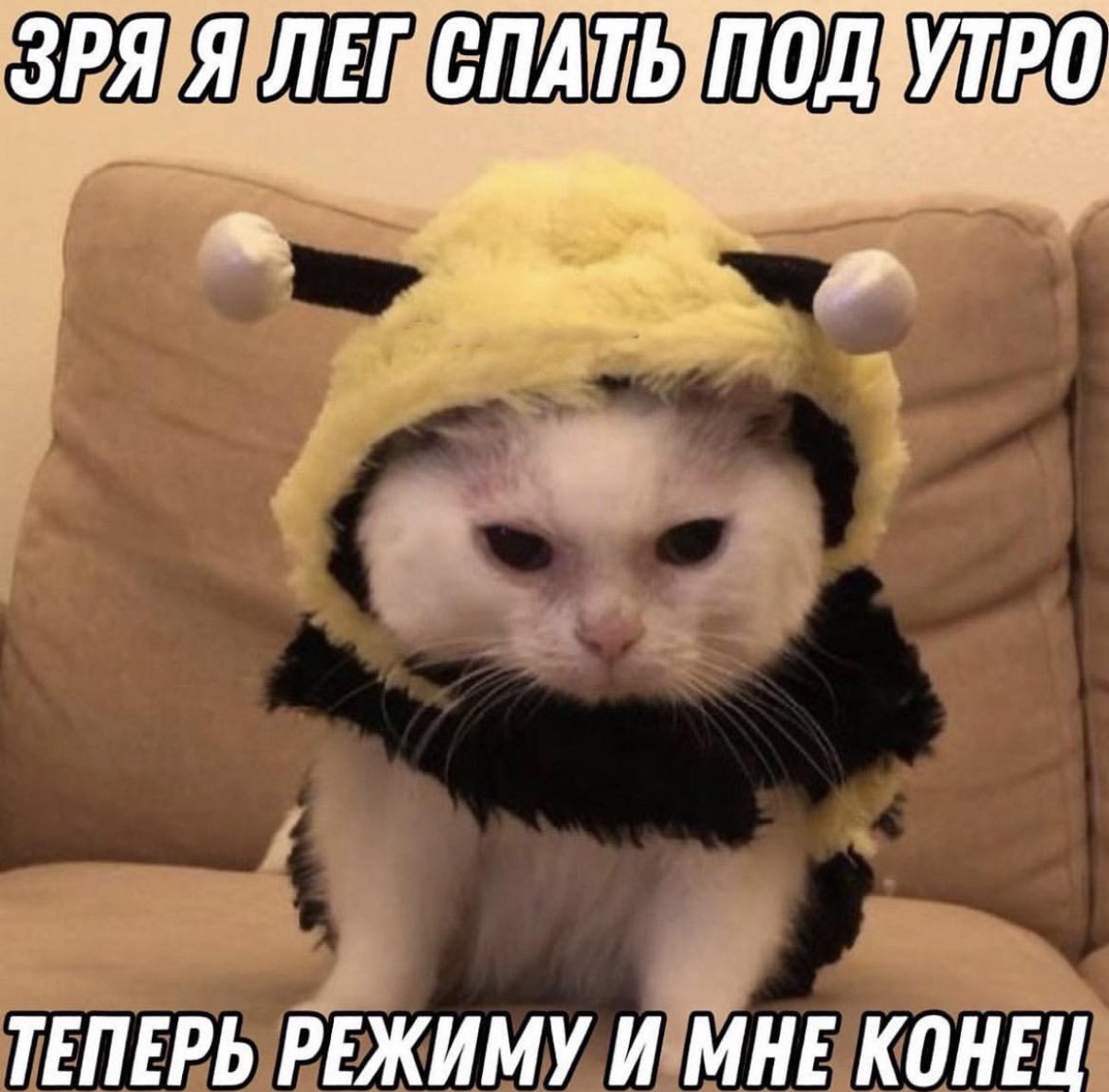 IMG_2221.jpeg