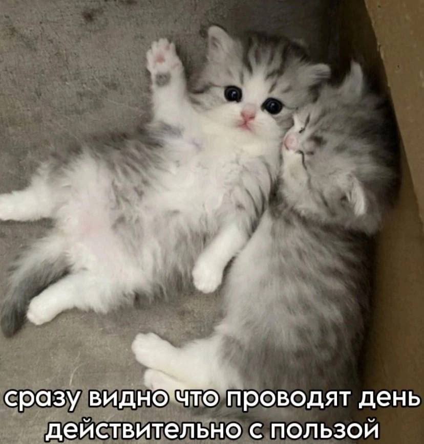 IMG_2256.jpeg