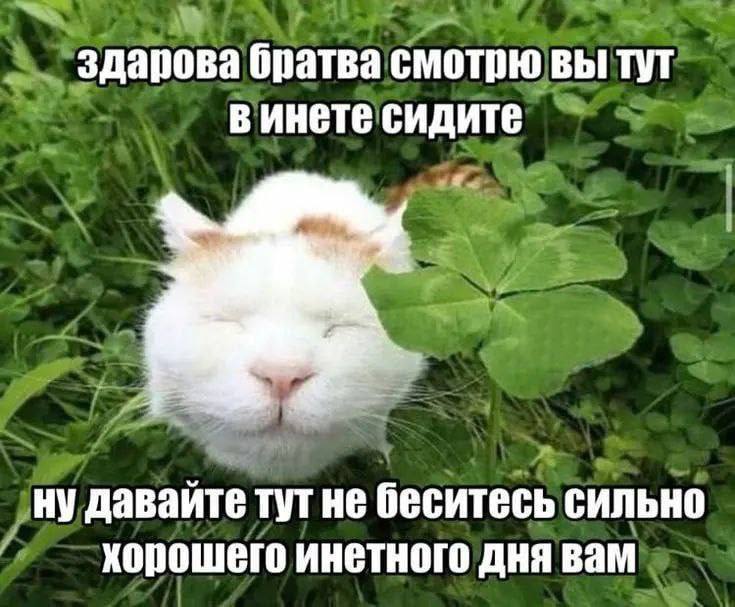 IMG_2257.jpeg