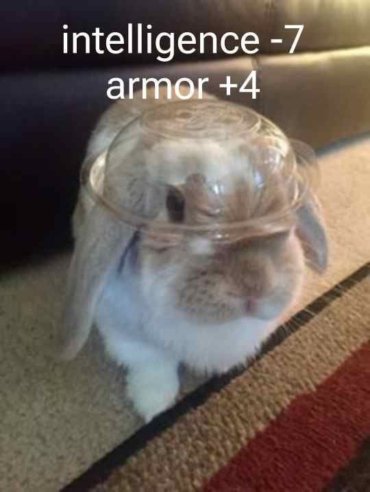 IMG_2277.jpeg