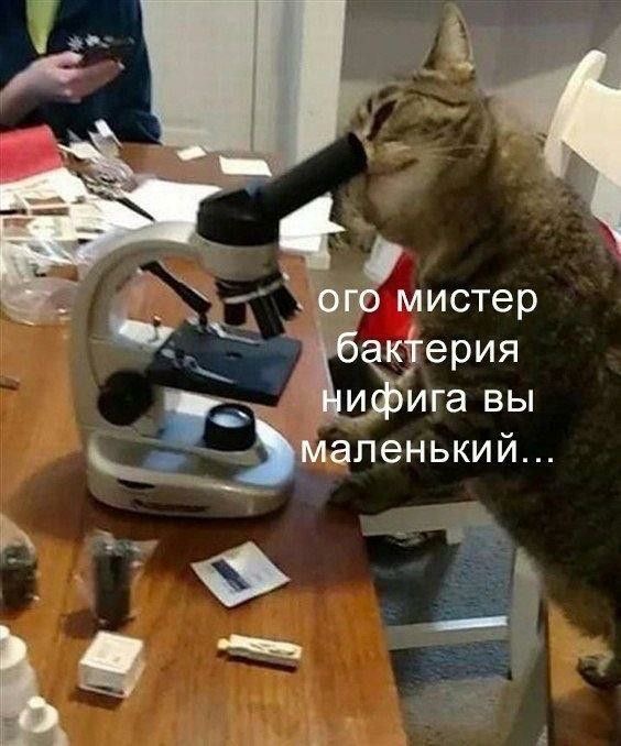 IMG_2283.jpeg