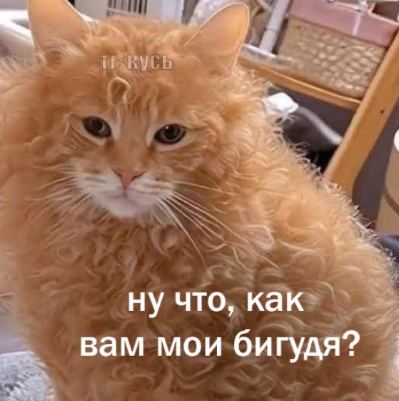 IMG_2315.jpeg