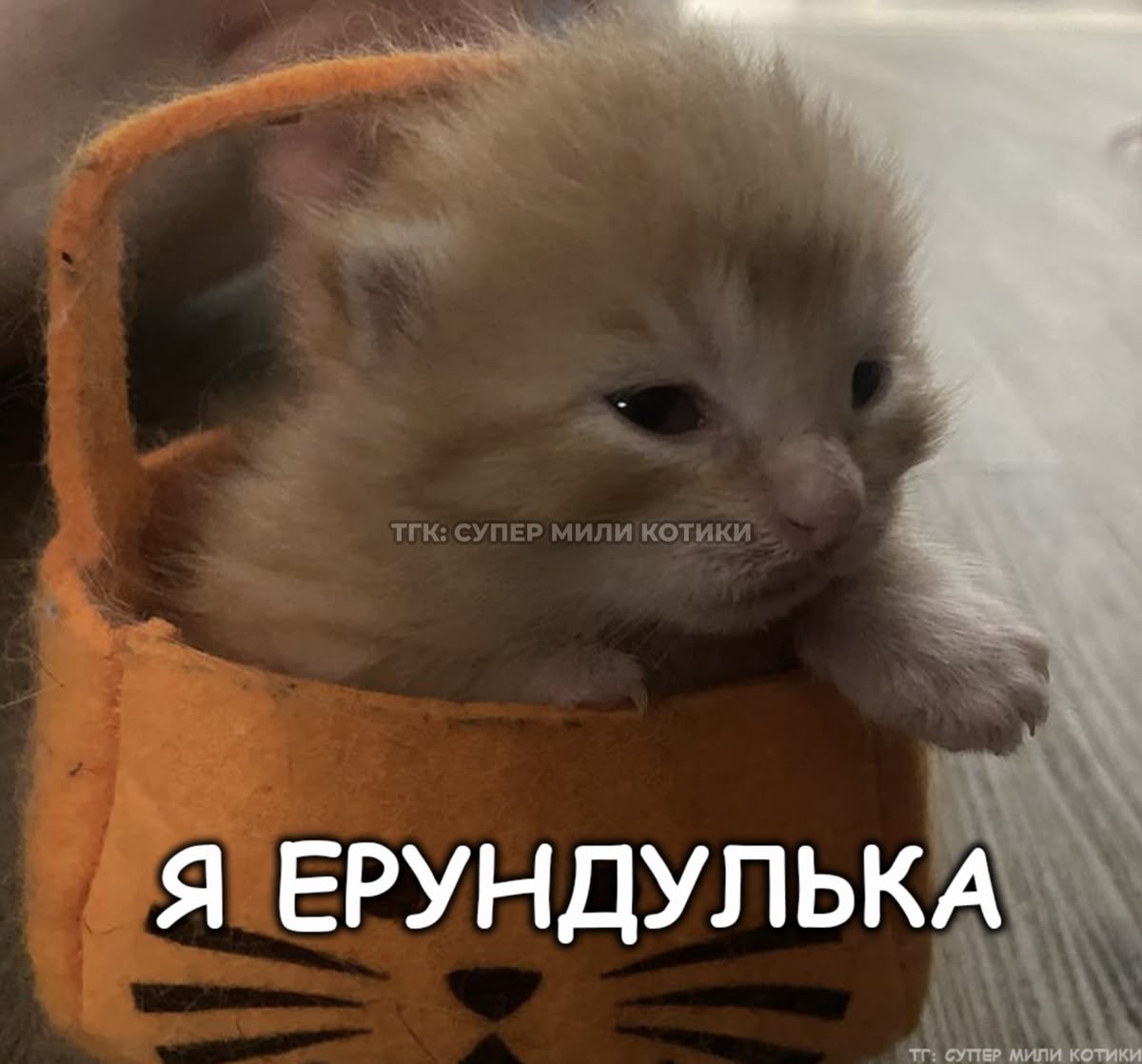 IMG_2361.jpeg