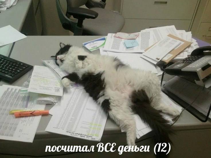 IMG_2402.jpeg