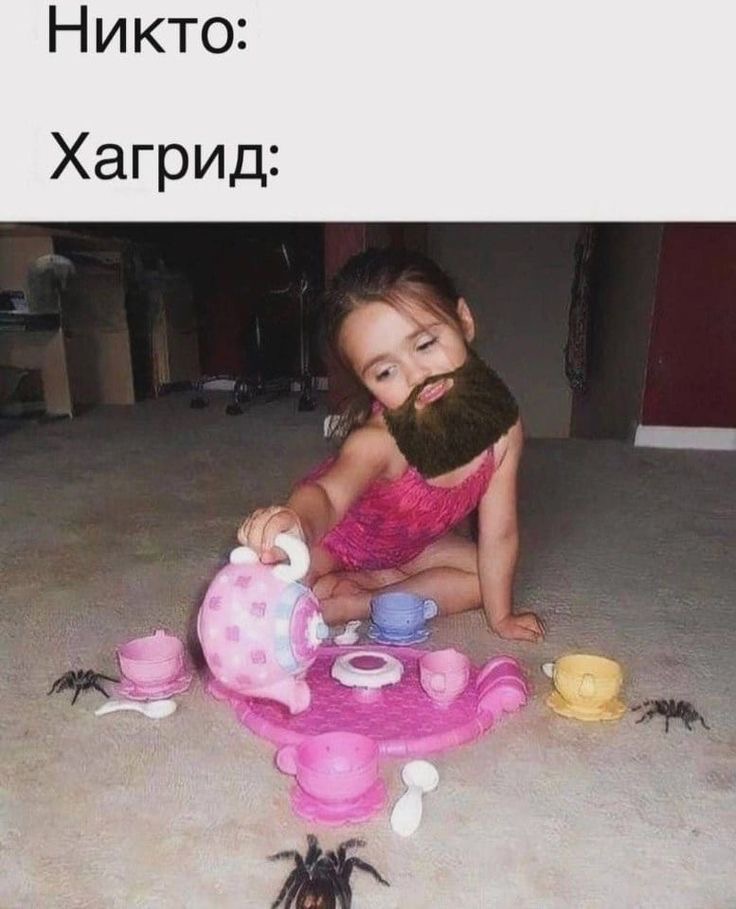 IMG_2402.jpeg