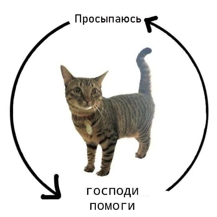IMG_2428.jpeg