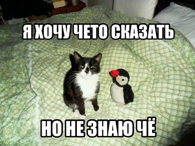IMG_2439.jpeg