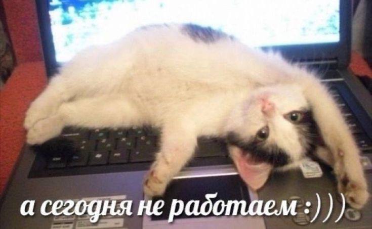 IMG_2443.jpeg