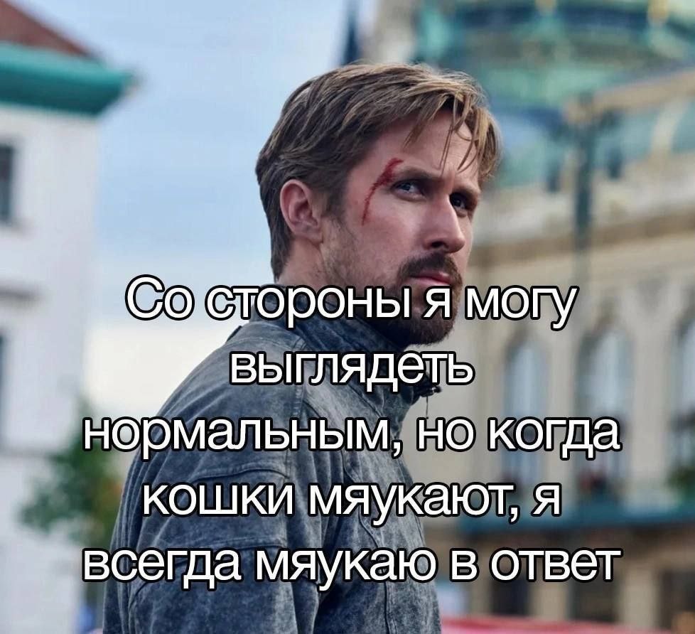 IMG_2457.jpeg
