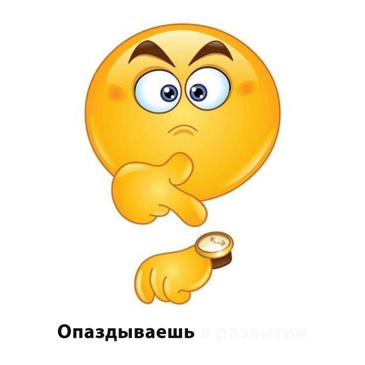 IMG_2459.jpeg
