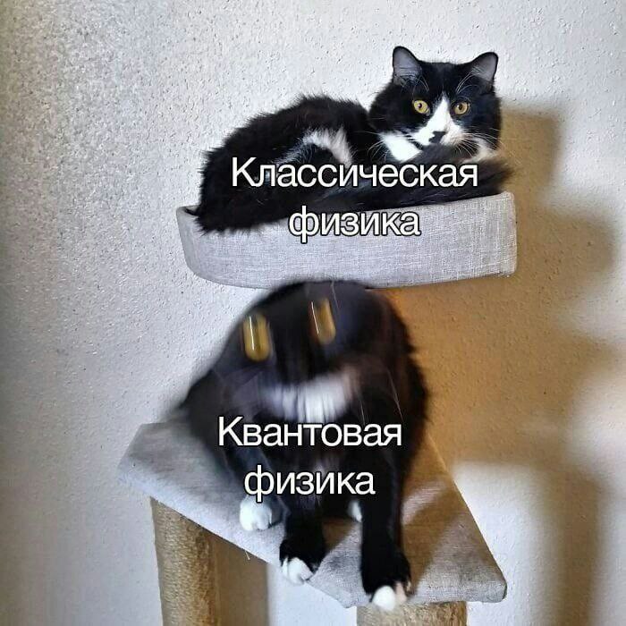 IMG_2470.jpeg