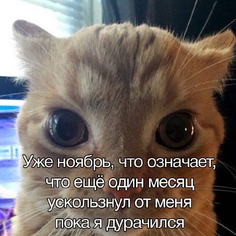 IMG_2477.jpeg