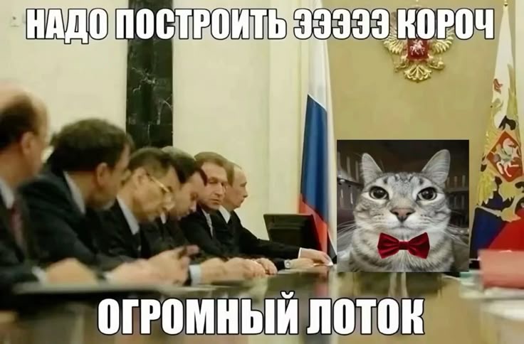 IMG_2478.jpeg