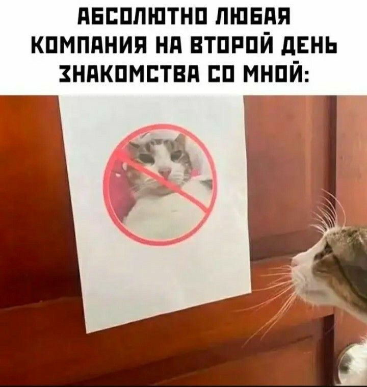 IMG_2480.jpeg