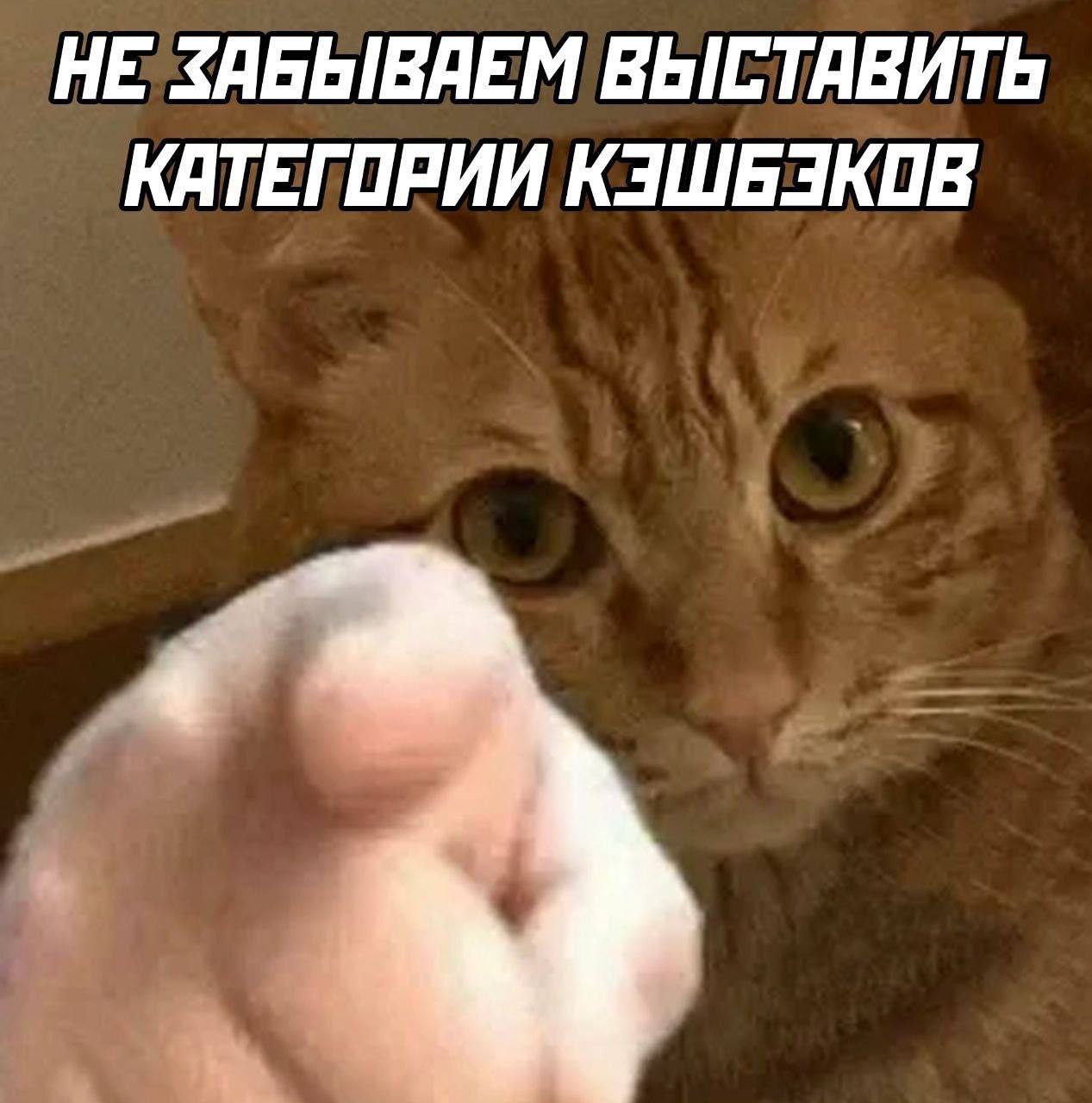 IMG_2494.jpeg