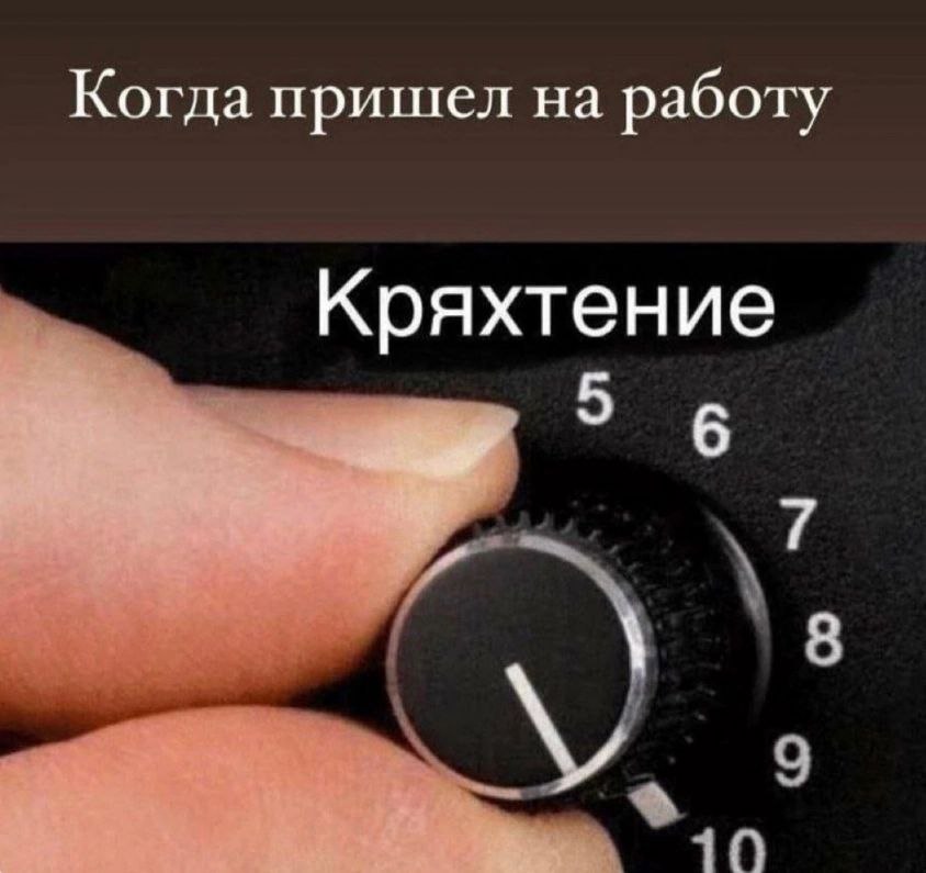 IMG_2496.jpeg