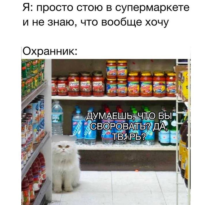 IMG_2504.jpeg