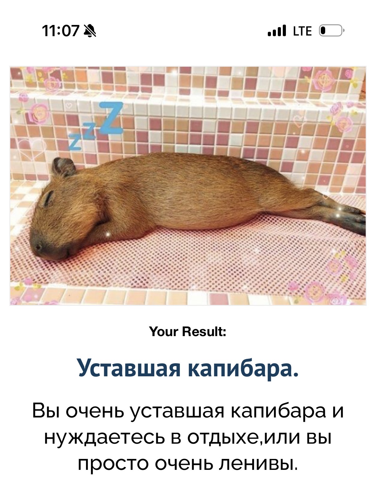 IMG_2505.jpeg