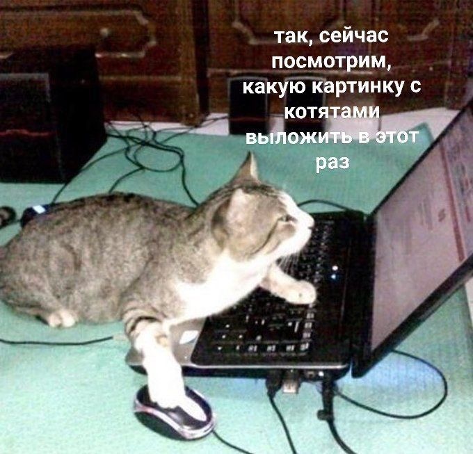 IMG_2510.jpeg