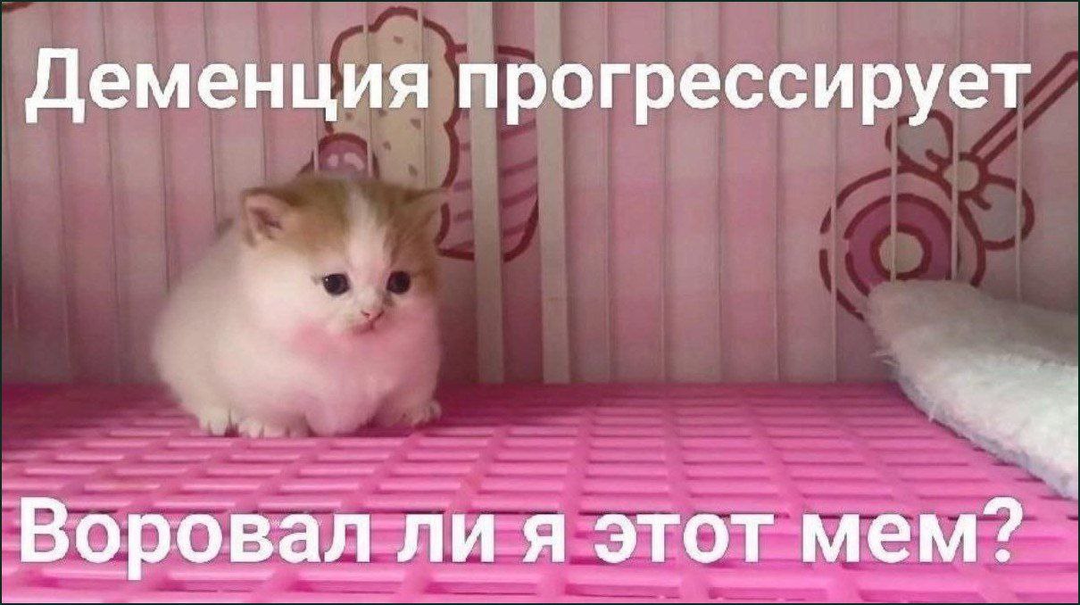 IMG_2511.jpeg