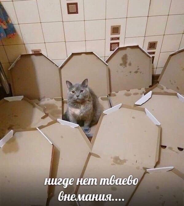 IMG_2511.jpeg