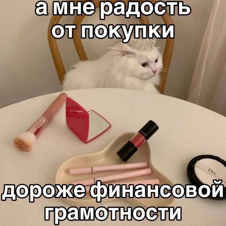 IMG_2513.jpeg