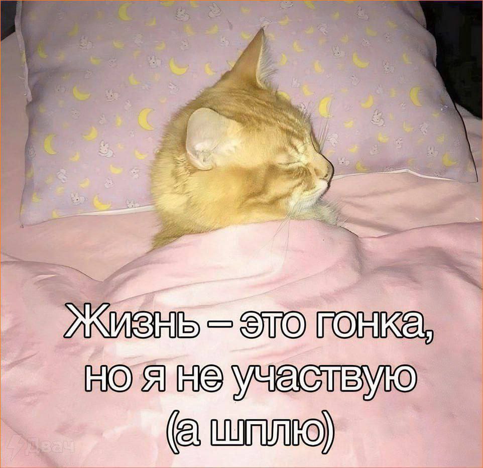 IMG_2519.jpeg