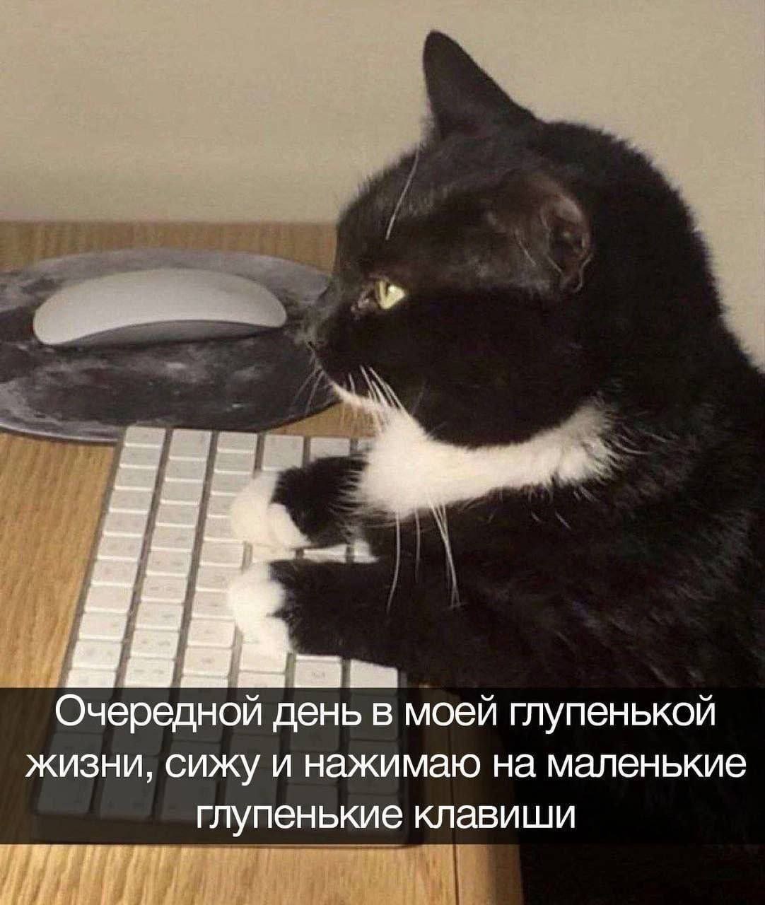 IMG_2520.jpeg