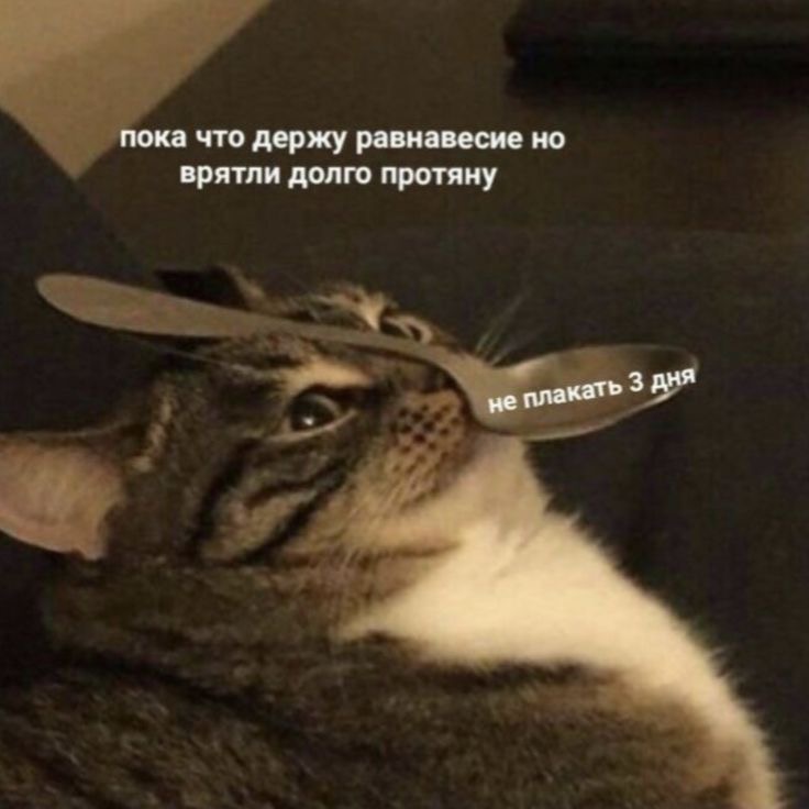 IMG_2544.jpeg