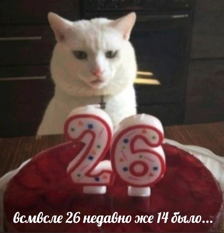 IMG_2553.jpeg