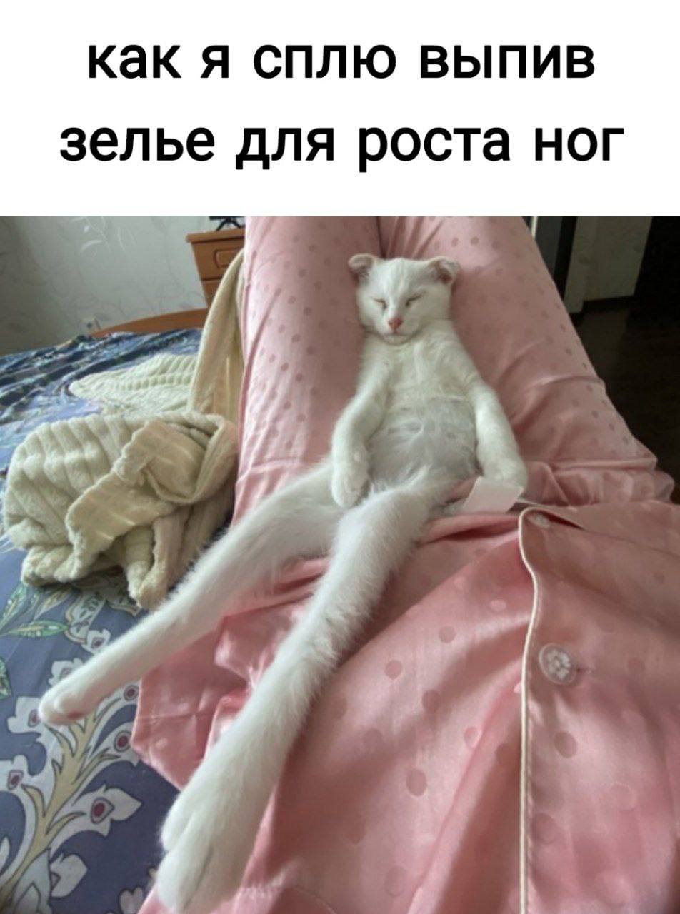 IMG_2559.jpeg
