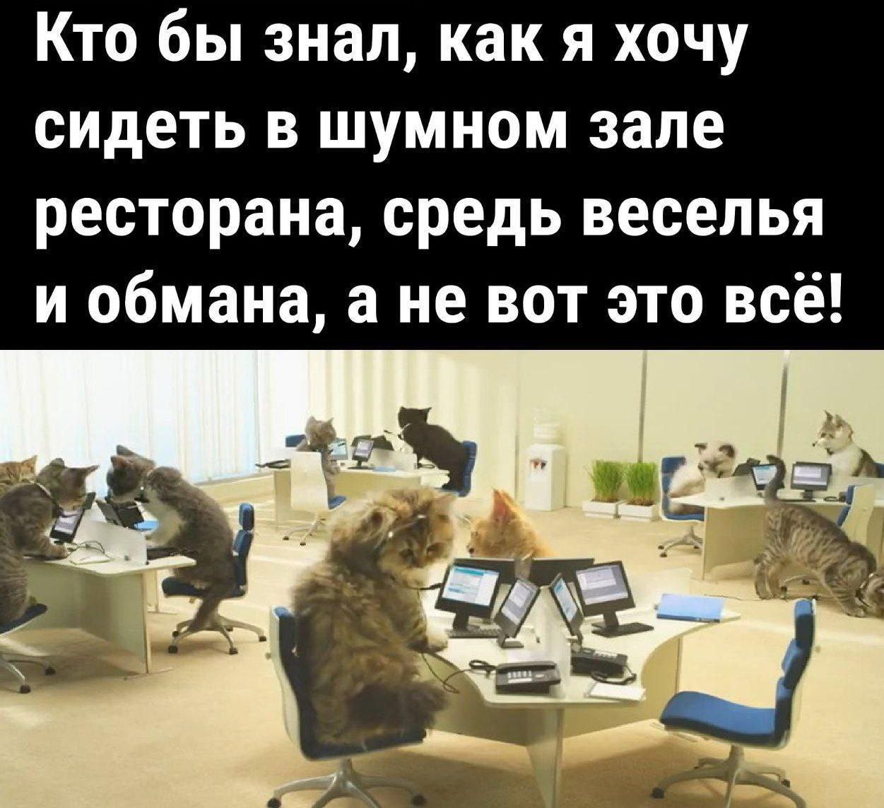 IMG_2566.jpeg