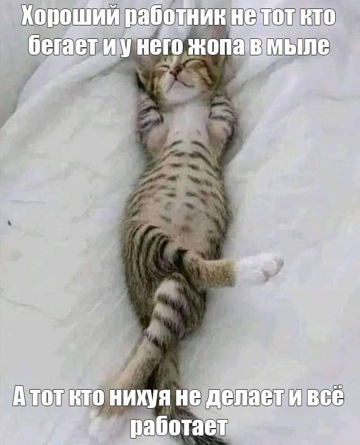 IMG_2573.jpeg