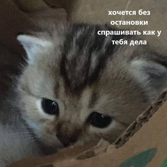 IMG_2582.jpeg