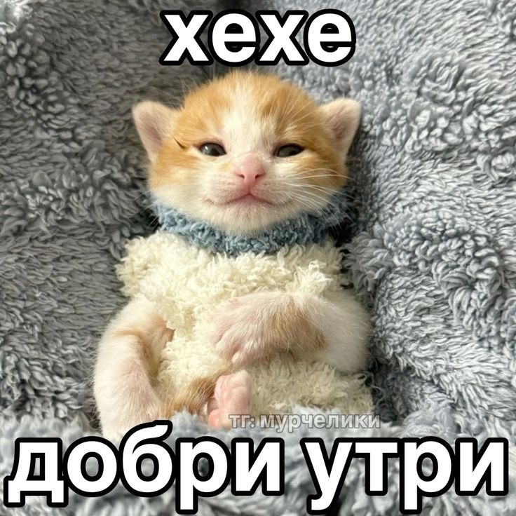 IMG_2602.jpeg
