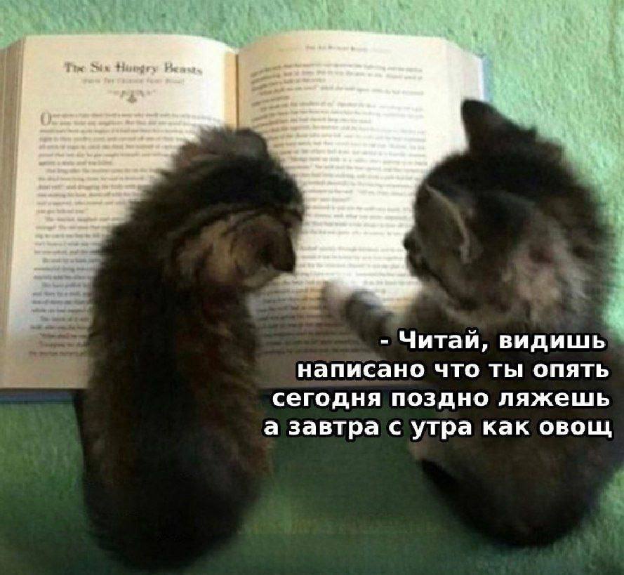IMG_2604.jpeg