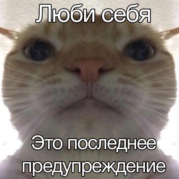 IMG_2633.jpeg