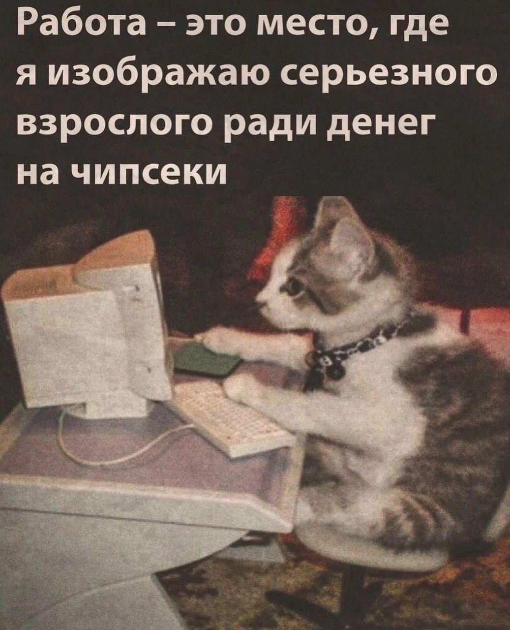 IMG_2640.jpeg