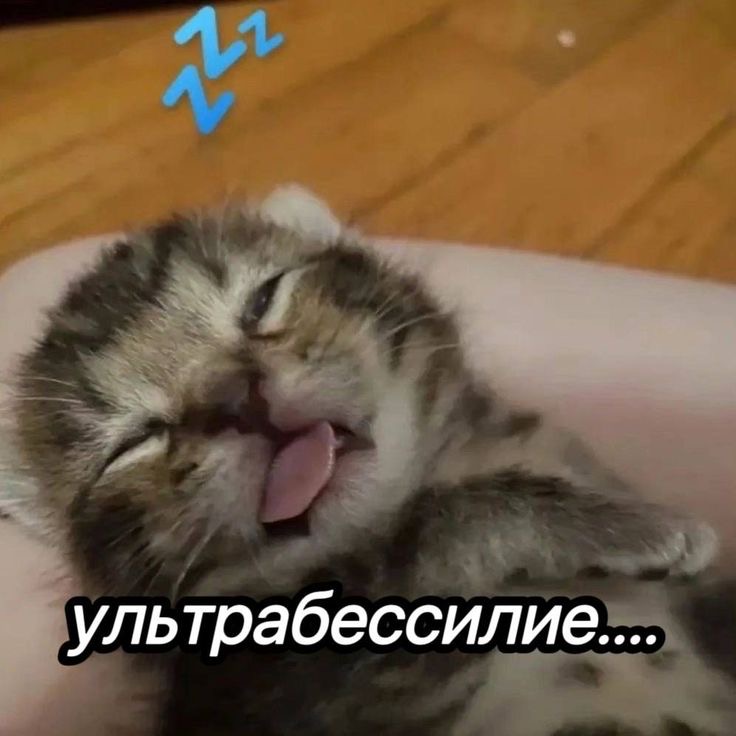 IMG_2650.jpeg