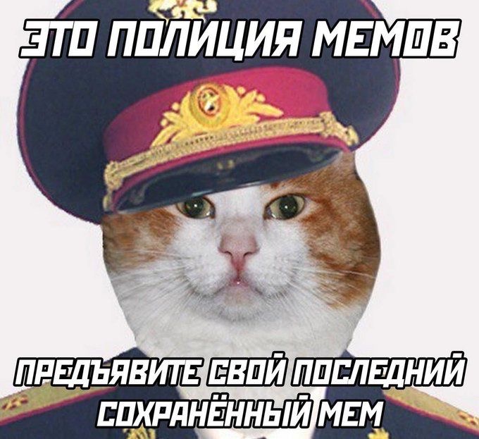 IMG_2653.jpeg