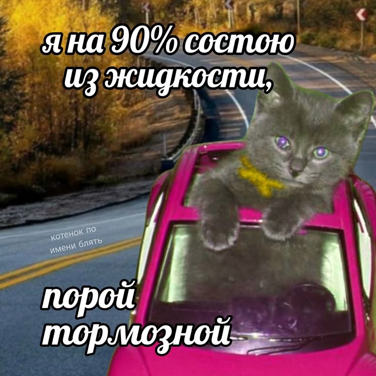 IMG_2669.jpeg