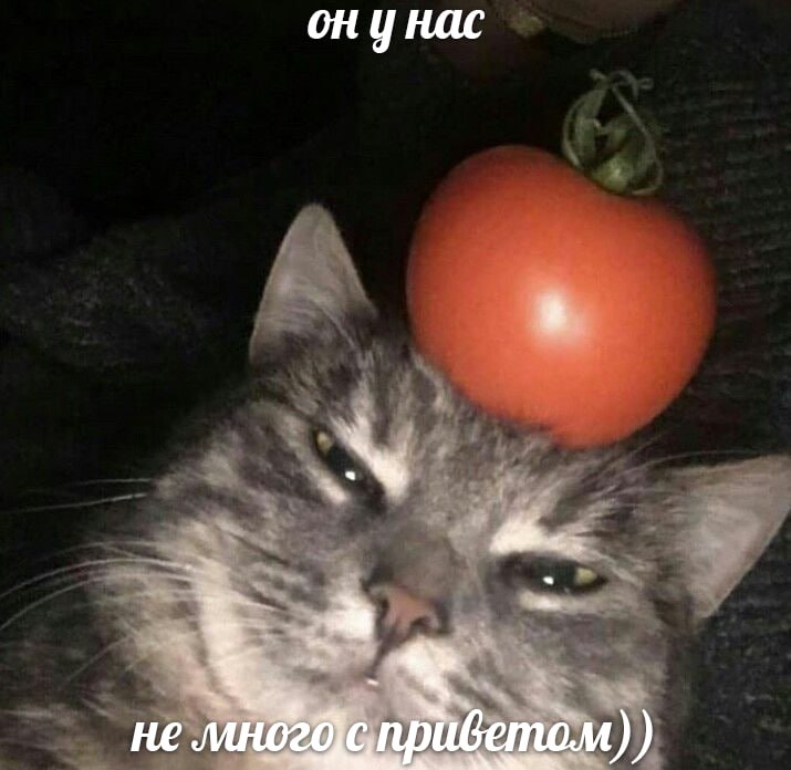 IMG_2671.jpeg