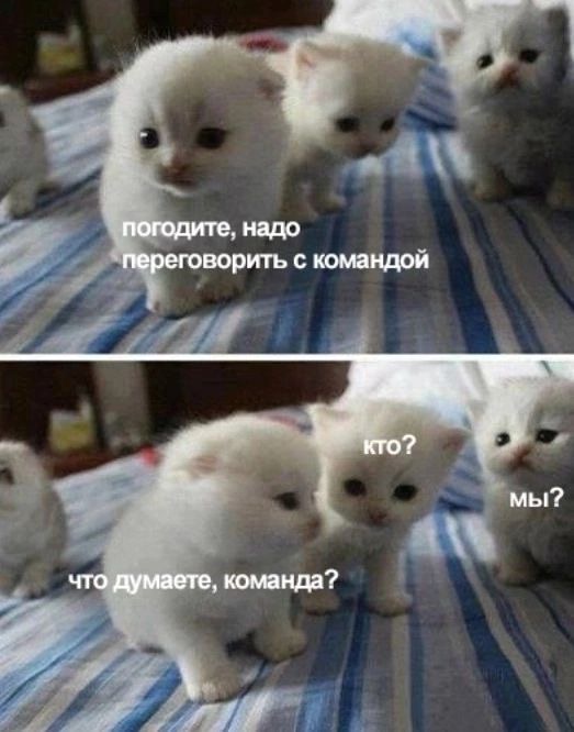 IMG_2675.jpeg