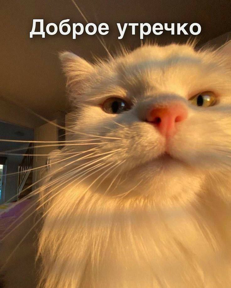 IMG_2682.jpeg