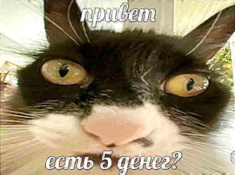 IMG_2688.jpeg